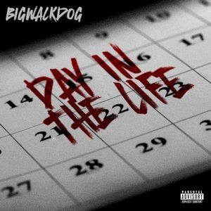 Day in the Life (Single)