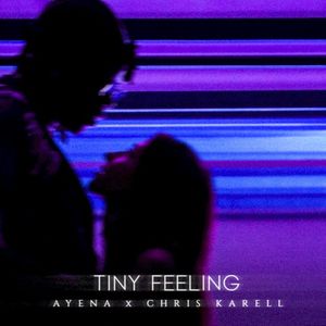 Tiny Feeling (Single)