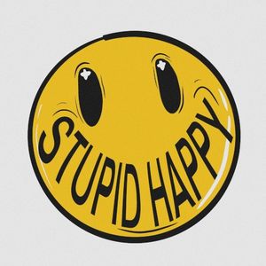 Stupid Happy (Single)
