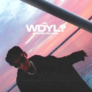 WDYL? (Single)