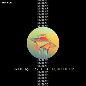 Where Is the Rabbit? (Single)