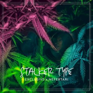 Stalker Type (Single)