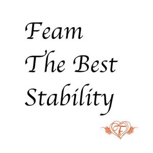 Feam The Best Stability