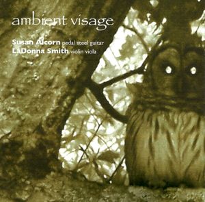 Ambient Visage