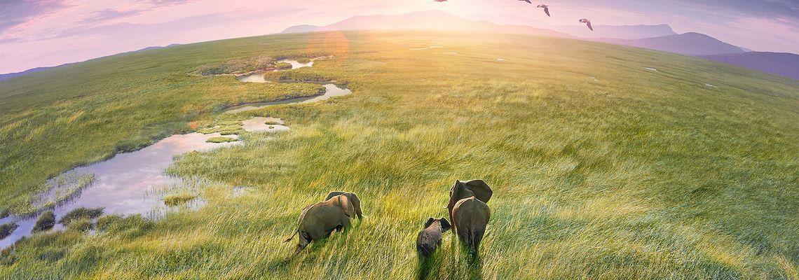 Cover Planète Terre III