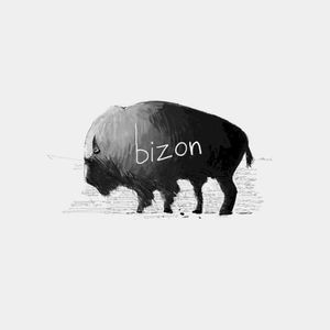 Bizon