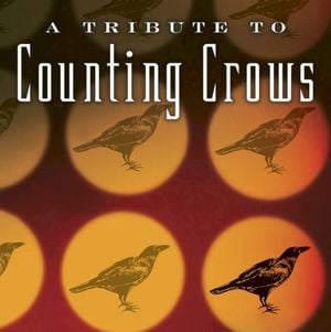 A Guitar Tribute to Counting Crows