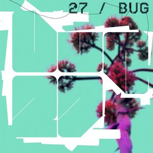 27 / Bug