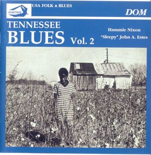 Tennessee Blues Vol.2