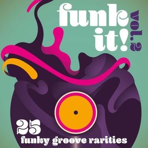 Funk It! 25 Funky Groove Rarities, Vol. 2