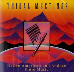 Tribal Meetings