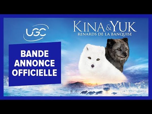 Kina & Yuk - Renards de la banquise