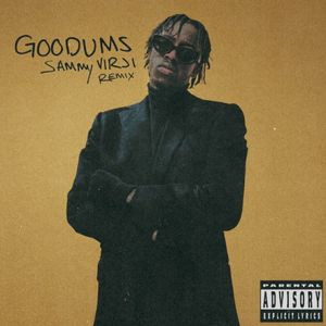 Goodums (Sammy Virji remix)