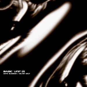 Silver Wolf (original mix)
