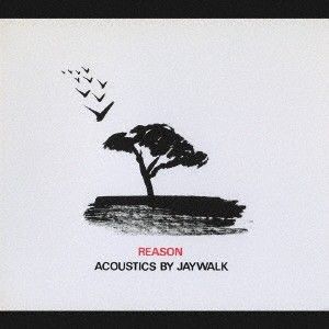 Reason = リーズン Acoustics by Jaywalk