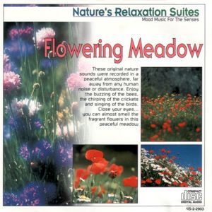 Flowering Meadow