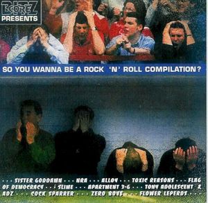 So You Wanna Be A Rock 'N' Roll Compilation?