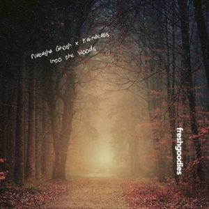 Into the Woods (Single)
