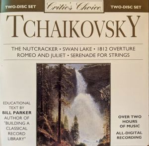 Violin Concerto in D major, Op. 35