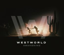 image-https://media.senscritique.com/media/000021677496/0/westworld_awakening.jpg