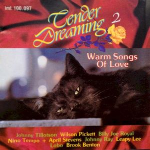 Tender Dreaming II - Warm Songs Of Love