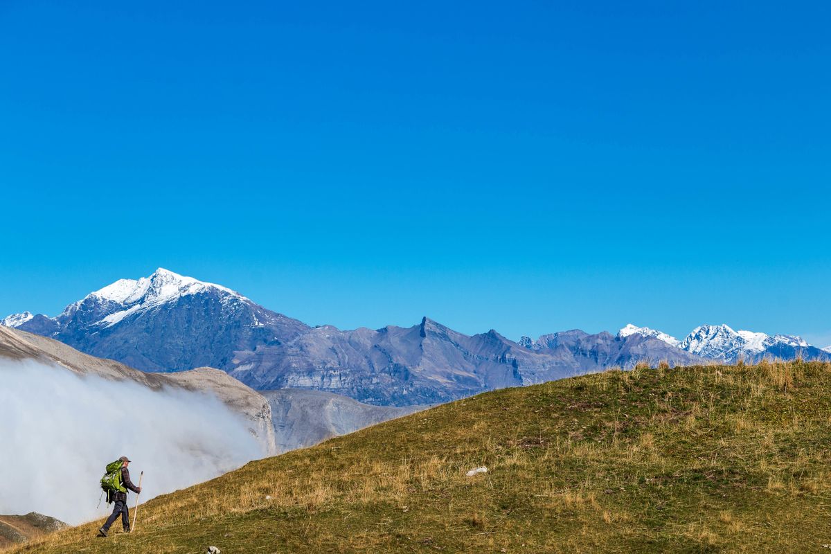 Vivre avec les loups Documentaire (2024) SensCritique
