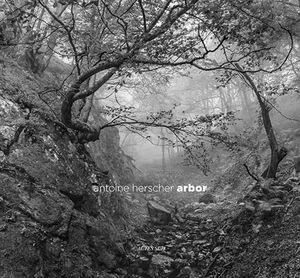 Arbor