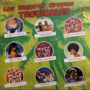 Los mejores grupos tropicales, vol. 3