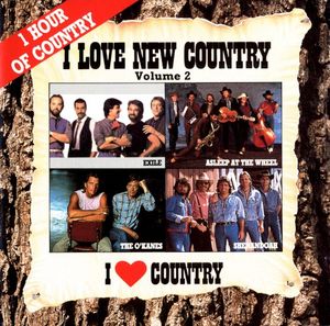 I Love New Country Volume 2