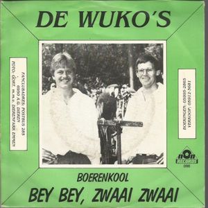Bey bey, zwaai zwaai / Boerenkool (Single)