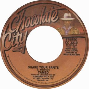 Shake Your Pants (Single)