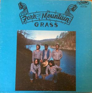 Fork Mountain Grass