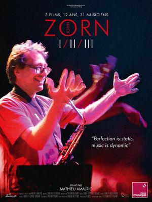 Zorn I (2010-2016)