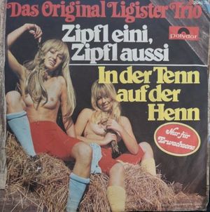 Zipfl eini, Zipfl aussi / In Der Tenn auf der Henn (Single)