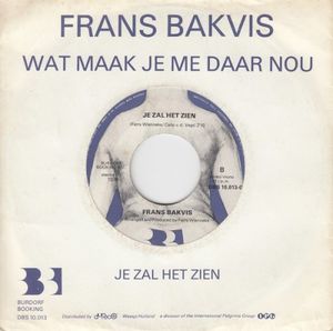 Wat maak je me daar nou / Je zal het zien (Single)