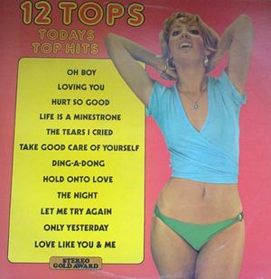 12 Top Hits Volume 28