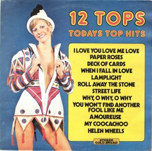 12 Tops Todays Top Hits