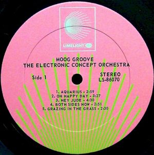 Moog Groove