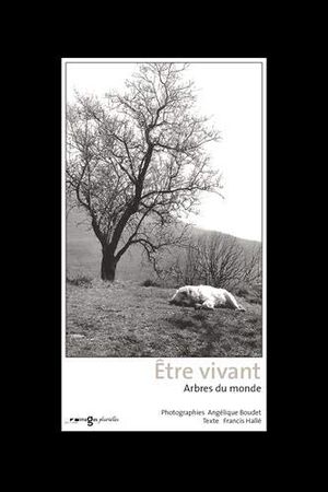 Etre vivant : arbres du monde