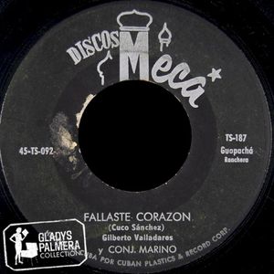 Fallaste corazón / Te vi pasar (Single)