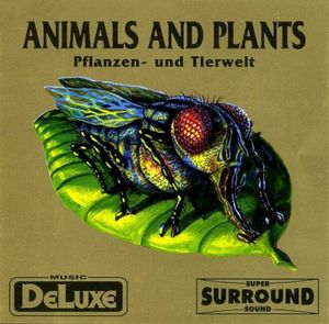 Animals and Plants