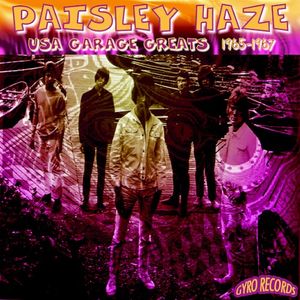 USA Garage Greats 1965-1967: Vol. 85: Paisley Haze