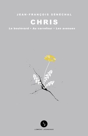 Chris : boulevard / Au carrefour / Les avenues