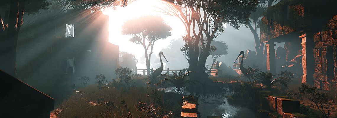 Cover Aporia: Beyond the Valley