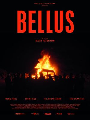 Bellus