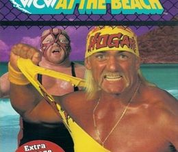 image-https://media.senscritique.com/media/000021707872/0/wcw_bash_at_the_beach_1995.jpg