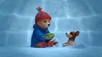 Paddington a besoin d'un héros