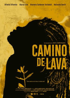 Camino de Lava