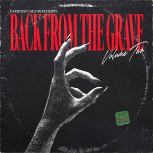 Back From the Grave - Vol. 2