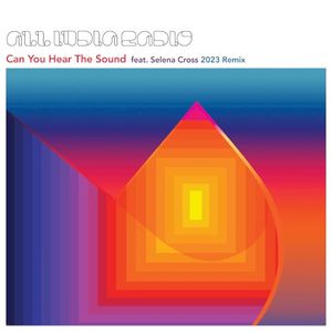 Can You Hear the Sound (2023 remix)